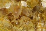 Lustrous, Yellow Calcite Crystal Cluster - Fluorescent! #137645-1
